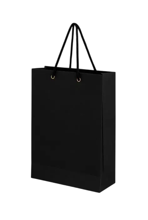 BLACK PAPER BAG1
