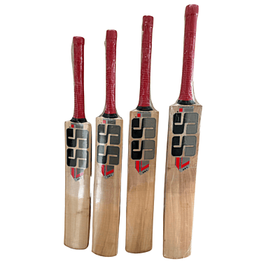 Kashmir Willow Cricket Bat