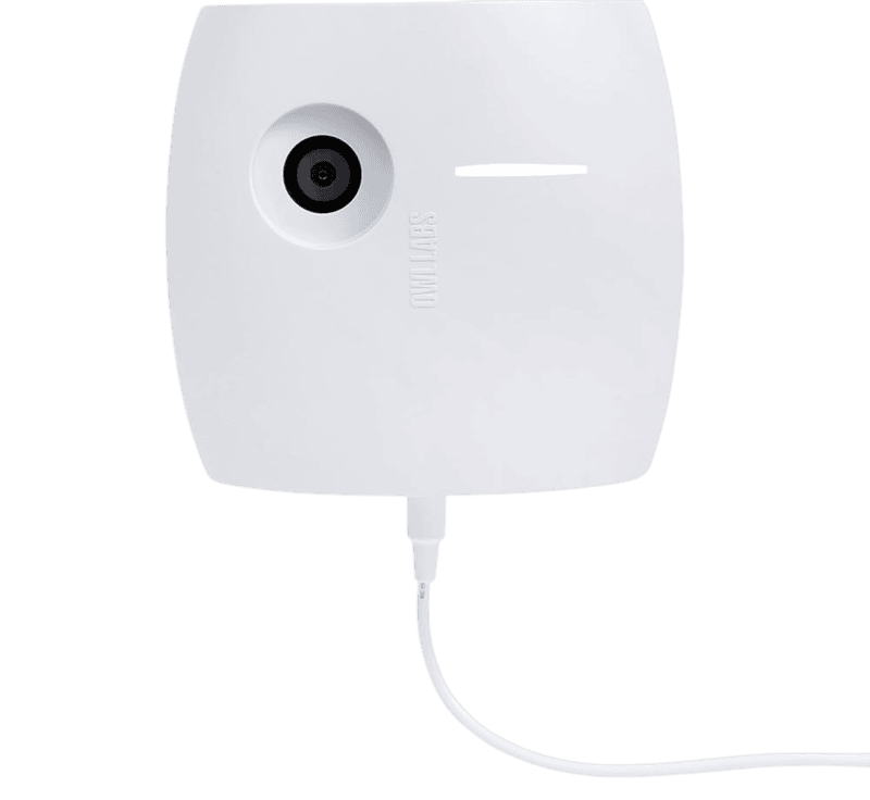 Meeting Whiteboard Owl | Distributor