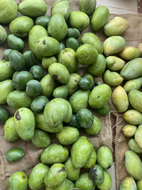 Banganapalli Mango 1kg | பங்கனப்பள்ளி மாம்பழம் 1 kg