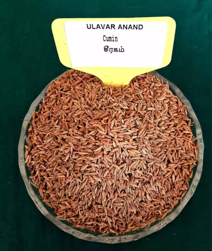 Cumin 250Gram | சீரகம் 250 Gram