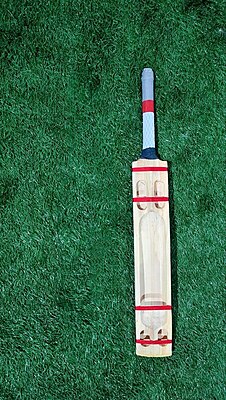 Kashmir Willow Scoop Cricket Soft Tennis Ball Bat