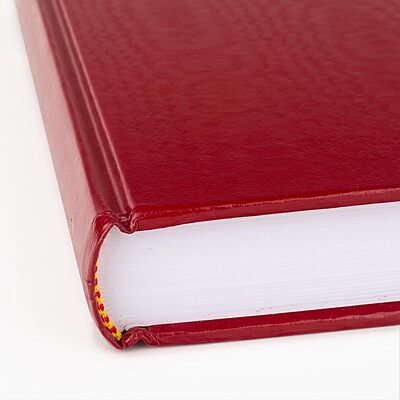 AT-A-GLANCE Standard Diary Daily 12-Month Hardcover