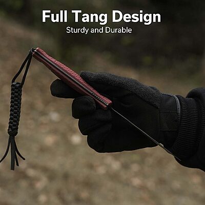 CIVIVI Perfrico Fixed Blade Knife 4.49" Single-edge 14C28N Full Tang Textured G10 Handle with Kydex Sheath, T-clip and Lanyard