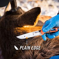 Gerber Gear Randy Newberg EBS Exchangeable Blade System with Quiet Carry Box