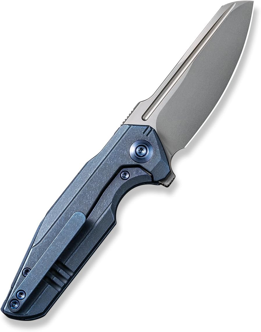 We Knife WE210174: Starhawk Framelock Blue