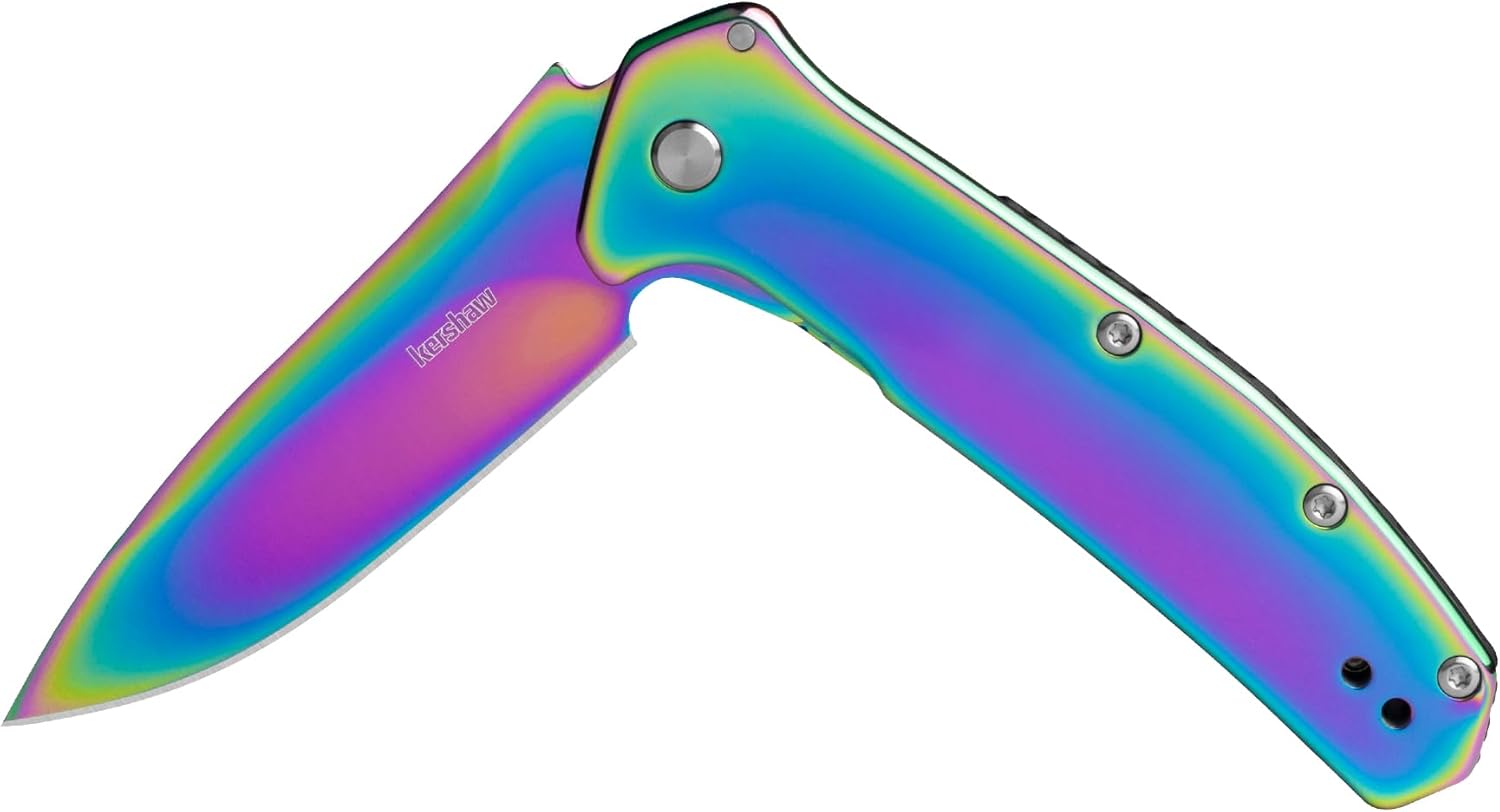KERSHAW Outcome Pocket Knife, 2.8 inch Stainless Steel Blade, Assisted Opening