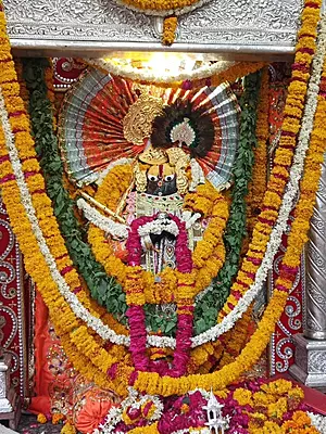 Govardhan Giriraj Ji - Jyoti Seva