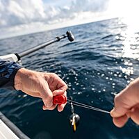 CANNON Offshore Saltwater Line Release