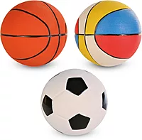 Sports Ball Dog Toys
