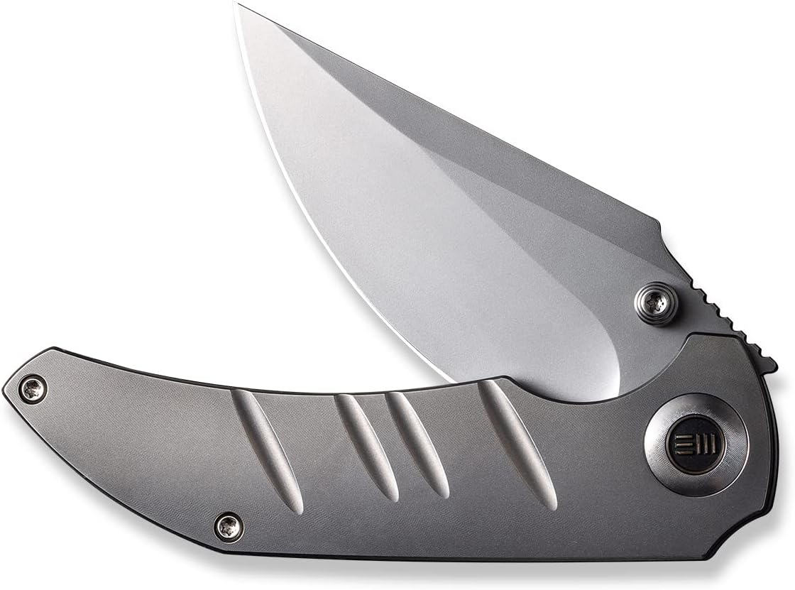 WE KNIFE Folding Knife - CPM-20CV Stainless Blade