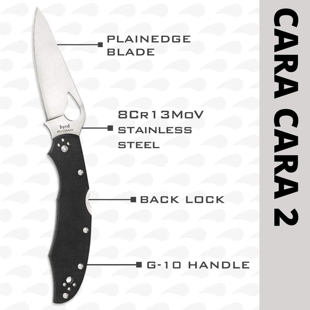 SPYDERCO Byrd Folding Knife - G-10 Handle, 8Cr13MoV