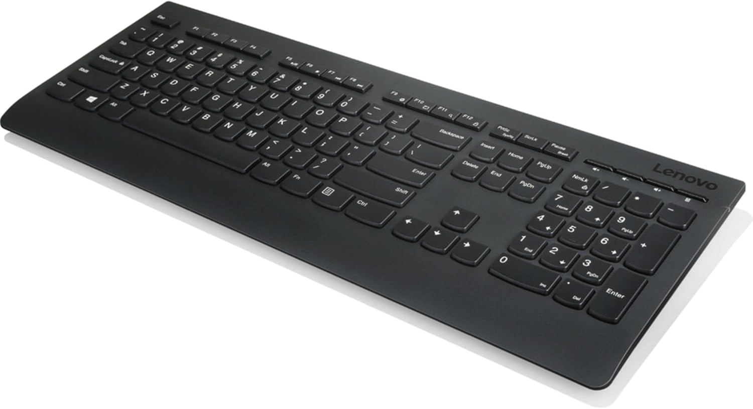 Lenovo Professional Wireless Keyboard and Mouse Combo, 2.4 GHz USB Wireless Receiver, Full Size Ambidextrous Mouse