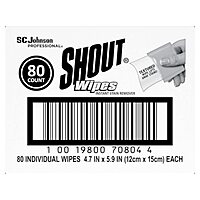 Shout Instant Stain Remover Towelette Wipes (80 count) 80 Count (Pack of 1)