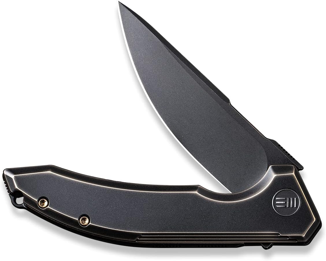 We Knife WE210162: Quixotic Framelock Black
