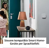 Alexa Echo Dot