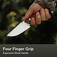 CIVIVI Gander Fixed Blade Knife with Kydex Sheath, 3.63" 14C28N Blade