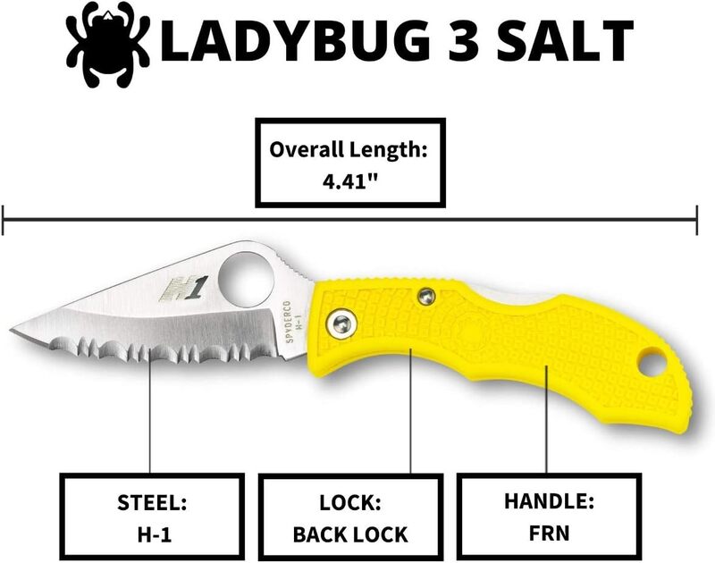 Spyderco Ladybug 3 Lightweight Lockback Folding Knife