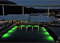 Hydro Glow DM260G 40W/120VAC Dock Mounted Fishing Light - Green