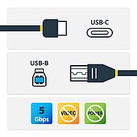 STARTECH.COM USB-C Cables - Type C to A/B/C/Mini