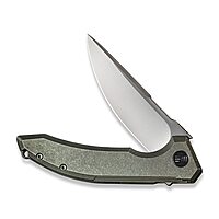 We Knife WE210164: Quixotic Framelock Green