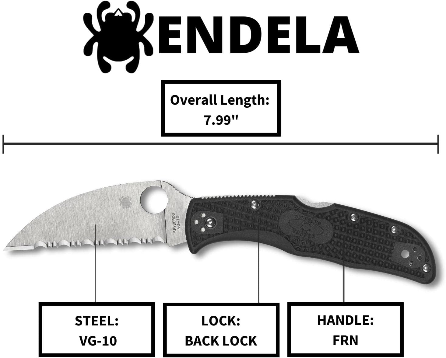 Spyderco Endela Wharncliffe Lightweight Knife with VG-10 Stainless Steel Blade and FRN Handle - SpyderEdge - C243FSWCBK