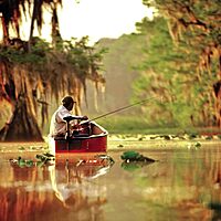 Minn Kota Endura C2 Transom-Mount Electric Trolling Motor, 50 Lb. Thrust, 36 in. Shaft, Freshwater