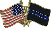 THIN LINE TACTICAL Thin Blue Line American Flag Lapel Pin