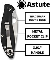 Spyderco Astute Value Knife with 3.02" Stainless Steel Blade and Durable Black G-10 - PlainEdge - C252GP