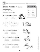 240 Vocabulary Words Kids Need to Know, Grade 1: 24 Ready-to-reproduce Packets That Make Vocabulary Building Fun & Effective