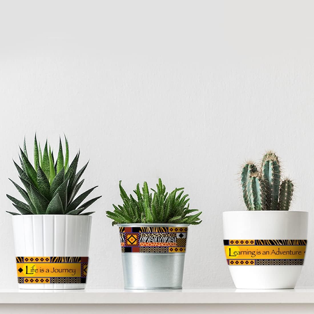 Barker Creek Double-Sided Border, Africa, for Bulletin Boards, Reception Areas, Halls, Break Rooms, Office, School