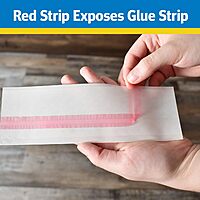 Raid Window Fly Traps, 4 Count (Pack of 4)