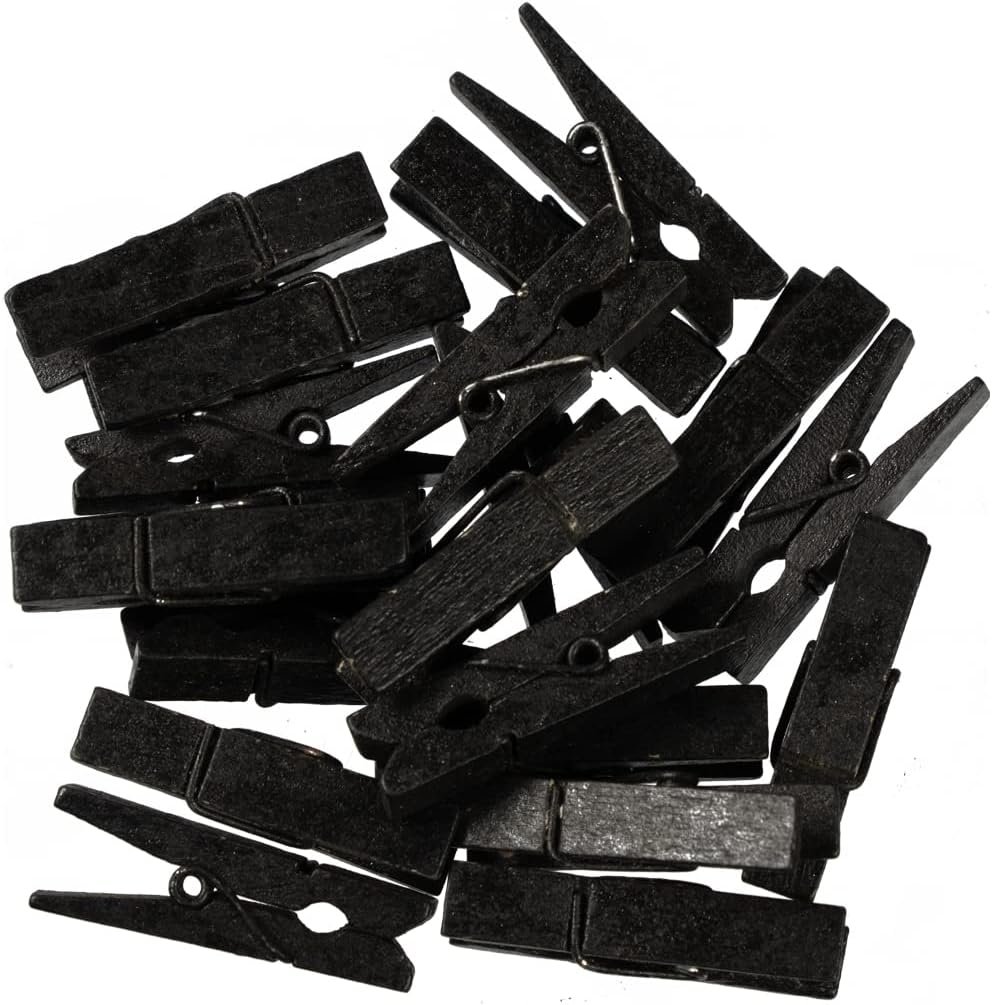 JAM PAPER Mailing Labels & Wood Clothing Pin Clips