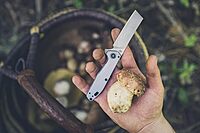 Gerber Gear Fastball Cleaver - Folding Knife with Lock Release for EDC Gear