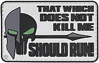 5ive Star Gear "Should Run Quote Morale Patch, One Size, Multi-Colored