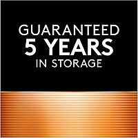 Duracell PGD MN1604BKD Coppertop Battery, Alkaline, 9V Size (Pack of 12) 12 Count (Pack of 1)