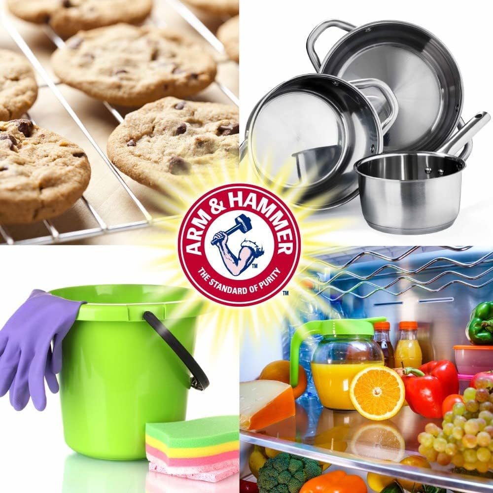 Arm & Hammer 33200-84104 Baking Soda, 16 oz (Pack of 24) 16 Ounce (Pack of 24)