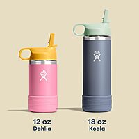 HYDRO FLASK Kids Water Bottle - 12 oz Stainless Steel Insulated with Straw Cap
