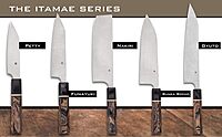 Spyderco Murray Carter Premium Kitchen Knives - Highly Refined Signature Japanese Knives for Culinary Professionals