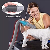 Secadora para Perro de Pelo Profesional con Visualización LED,