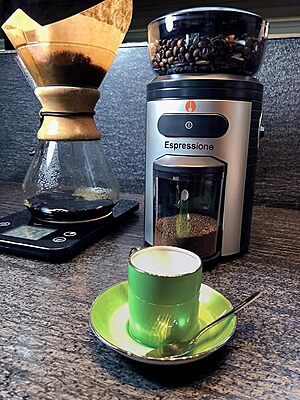 Espressione Professional Conical Burr Coffee Grinder, 8.5-Oz Hopper, 15-Level, Black/Silver