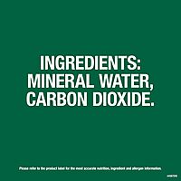 Perrier Carbonated Mineral Water Plastic Bottles, Original, 16.9 Fl Oz (Pack of 24), 405.6 Fl Oz