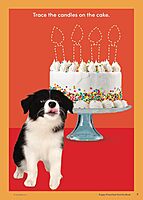 Scholastic Puppy Preschool Activity Book, Pre-K