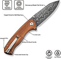 CIVIVI Placoid Folding Pocket Knife for EDC, 3.67" Blade