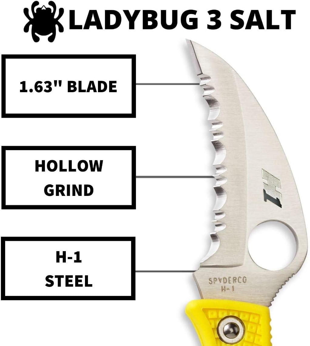 Spyderco Ladybug 3 Salt Lightweight Knife with 1.88" Corrosion Resistant H-1 Hawkbill Blade and Durable Hi-Viz Yellow FRN