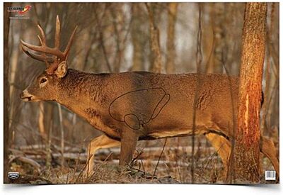 BIRCHWOOD CASEY 23" x 35" Eze-Scorer Highly Visible Non-Reactive Animal Shooting Paper Target (Folded), 2 Pack Whitetail Deer