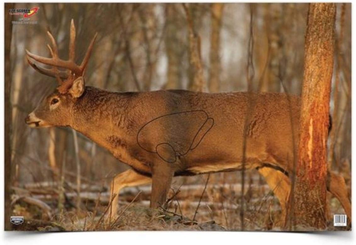BIRCHWOOD CASEY 23" x 35" Eze-Scorer Highly Visible Non-Reactive Animal Shooting Paper Target (Folded), 2 Pack Whitetail Deer