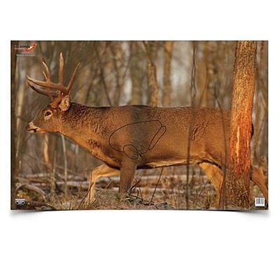 BIRCHWOOD CASEY 23" x 35" Eze-Scorer Highly Visible Non-Reactive Animal Shooting Paper Target (Folded), 2 Pack Whitetail Deer