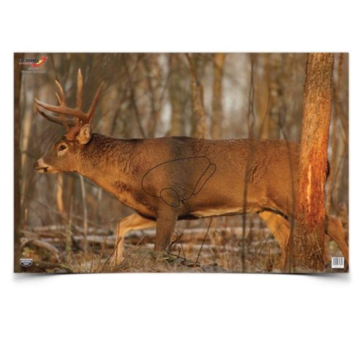 BIRCHWOOD CASEY 23" x 35" Eze-Scorer Highly Visible Non-Reactive Animal Shooting Paper Target (Folded), 2 Pack Whitetail Deer