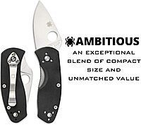 Spyderco Ambitious Value Knife with 2.31" Stainless Steel Blade and Durable Black G-10 Handle - PlainEdge - C148GP